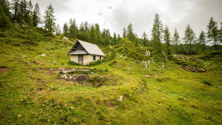 Discover the tranquility of a lone cabin nestled in Slovenia's lush alpine landscape.