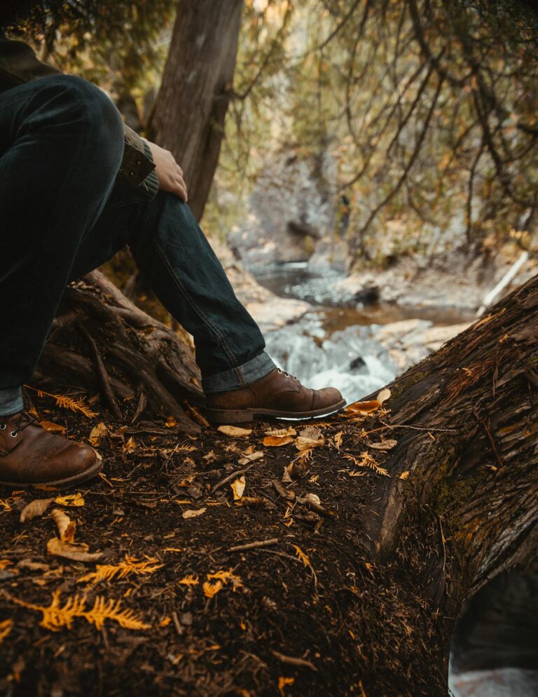 Enjoy the tranquility of autumn hiking through Minnesota's picturesque forest.